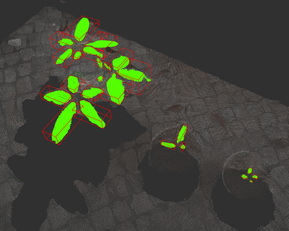 Mapeamento de estrutura 3D da planta