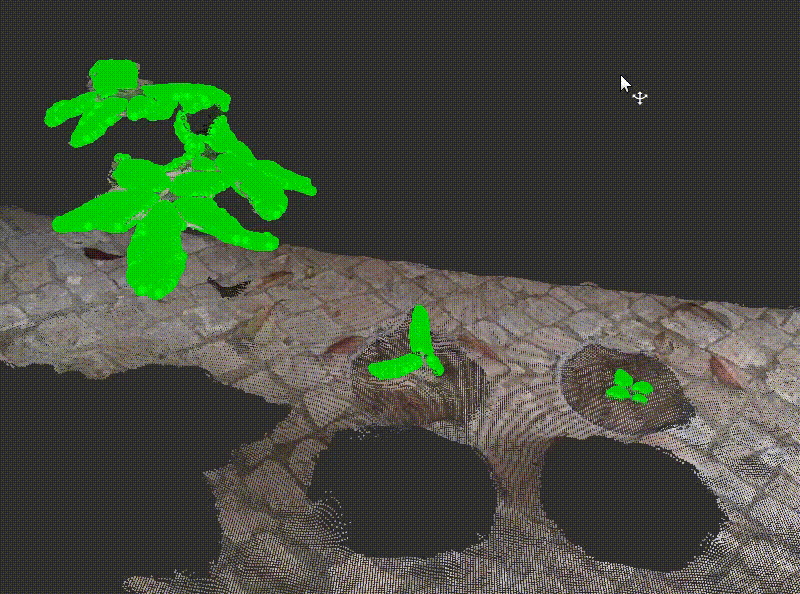 Plant Component Segmentation